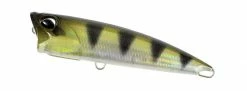 Duo Realis Fang Pop Poppers