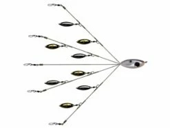 Picasso Flash Back Umbrella Rigs