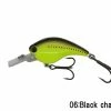 Ichikawa Fishing Shallow Diving (0-7ft.) RC Flat Shad