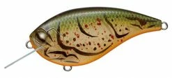 Evergreen USA Shallow Diving (0-7ft.) Flat Force