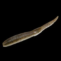 Jackall Neko Flick Worms