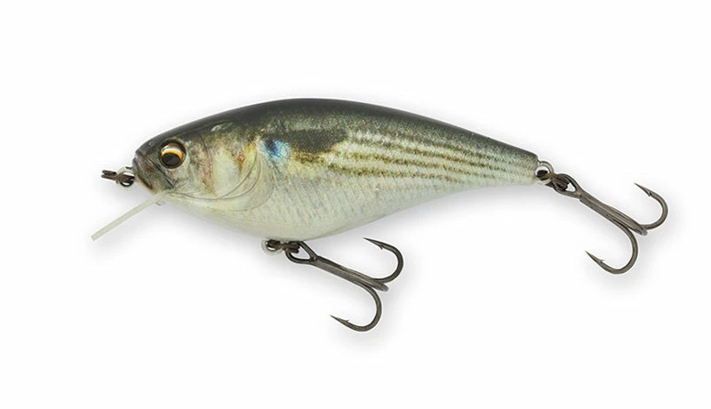 Imakatsu Gekiasa Shad