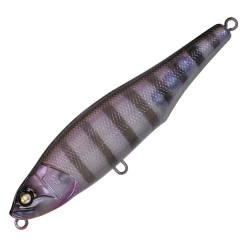 Whiplash Walking Grindin' Wire