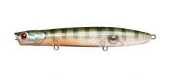 Lucky Craft Walking Gunfish 117