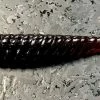 Geecrack Paddletail Swimbaits Gyro Star