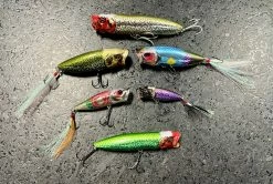 Megabass 2022 Celebration Series