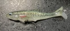Signal Japan Devil Swimmer Paddletail Swimbaits