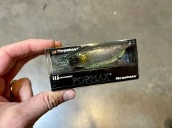 Smith LTD. Still Area Tuned