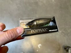 Duo Realis Tetra Works Toto 42S