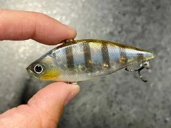 Lucky Craft Lipless LV 500