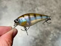 Lucky Craft Shallow Diving (0-7ft.) Fat CB BDS Magic 2.2