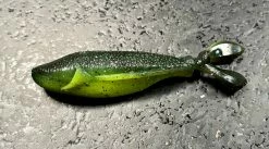 Laysam Creatures Namekuji Worm