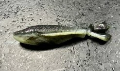 Laysam Creatures Namekuji Worm