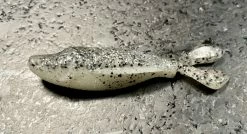 Laysam Creatures Namekuji Worm