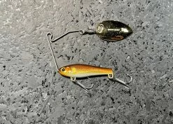 Lucky Craft Area's Bait Bass