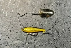 Lucky Craft Area's Bait Bass