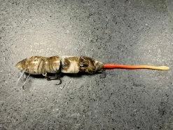 PB Rats PB Rat 3 Piece