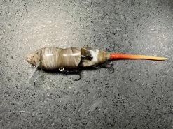 PB Rats Hard Body PB Rat 2 Piece