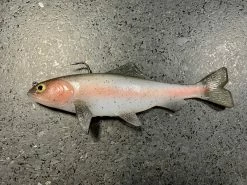 JSJ Bait Co. 9 Inch Trout Recoil