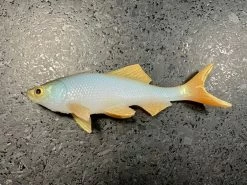 JSJ Bait Co. Hitch Six Recoil Weedless Swimbait