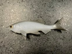 JSJ Bait Co. Hitch Six Recoil Weedless Swimbait