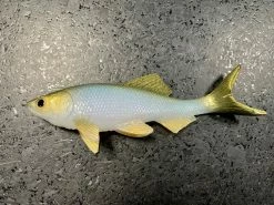 JSJ Bait Co. Hitch Six Recoil Weedless Swimbait