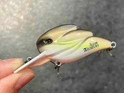 +Rooms Alcatraz Shallow Diving (0-7ft.)