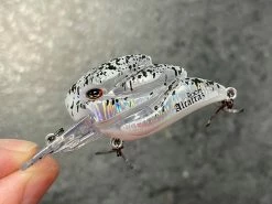 +Rooms Alcatraz Shallow Diving (0-7ft.)