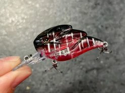 +Rooms Alcatraz Shallow Diving (0-7ft.)