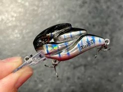 +Rooms Alcatraz Shallow Diving (0-7ft.)