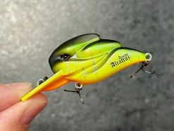 +Rooms Alcatraz Shallow Diving (0-7ft.)