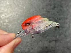 +Rooms Alcatraz Shallow Diving (0-7ft.)