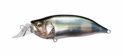 Megabass IxI Shad Type-R