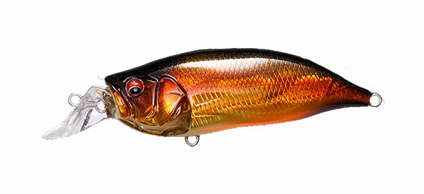 Megabass IxI Shad Type-R