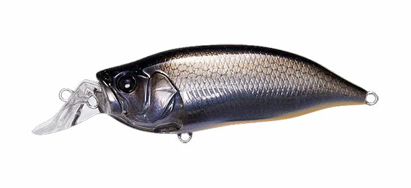 Megabass IxI Shad Type-R