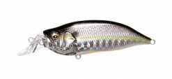 Megabass IxI Shad Type-R