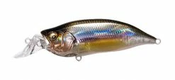 Megabass IxI Shad Type-R