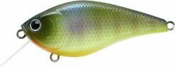 Lucky Craft KJ Flat Crankbait