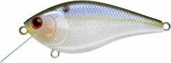 Lucky Craft KJ Flat Crankbait