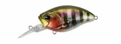 Duo Realis RS Crank 48MR Kabuki Bottom Rush Shallow Diving (0-7ft.)