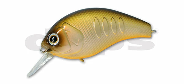 Deps Korrigan Magnum