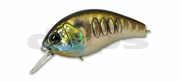 Deps Korrigan Magnum