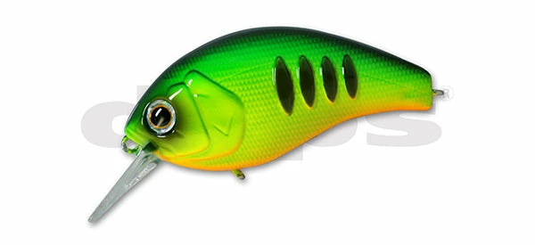 Deps Korrigan Magnum