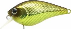 Lucky Craft LC MTO Crankbaits