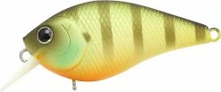 Lucky Craft Shallow Diving (0-7ft.) Clutch Series