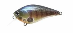 Lucky Craft Shallow Diving (0-7ft.) LC Crankbaits