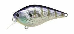 Lucky Craft LC MTO Crankbaits