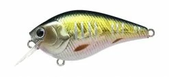 Lucky Craft LC MTO Crankbaits