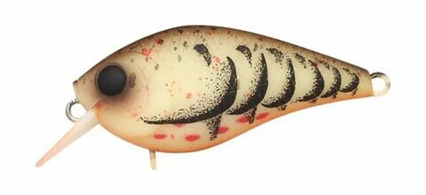 Lucky Craft LC MTO Crankbaits