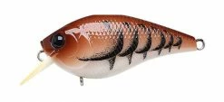 Lucky Craft LC MTO Crankbaits